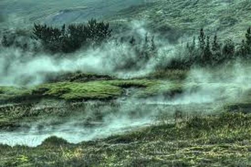 A spooky foggy marsh or bog. Possible home of the lantern man